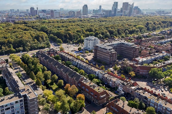 Hart Nibbrigkade 64, Den Haag